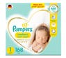 pampers premium care pieluchy 22