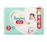 pampeesy pampers 20.szt zabka