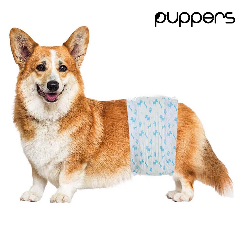 pampers pieluchy 1