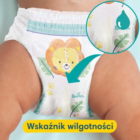 pampers konowalski