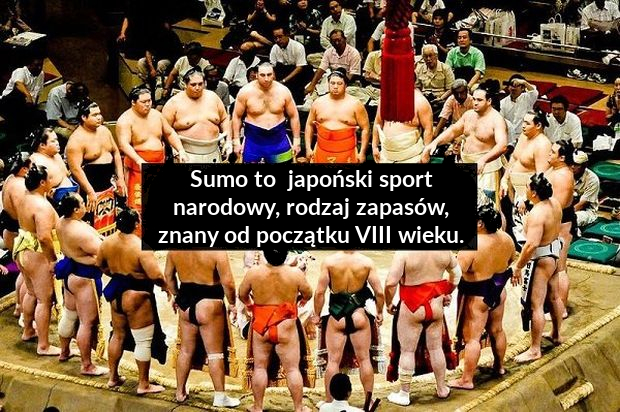 kosz na zużyte pieluchy kor