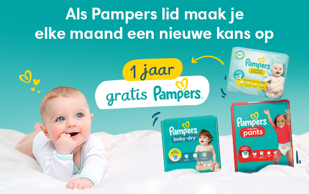 dino pampers sleep and play