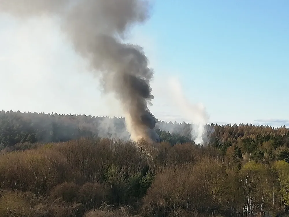 ile kosztuja pieluchomajtki tena