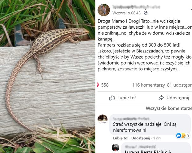 jak odzwyczaić od pieluchy